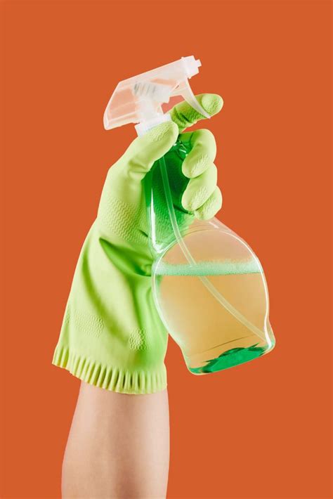 Spider Web Removal 的图像结果