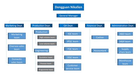 Function Structure of Company 的图像结果