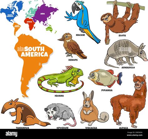 South America Animals With Names at Wilhelmina Davis blog