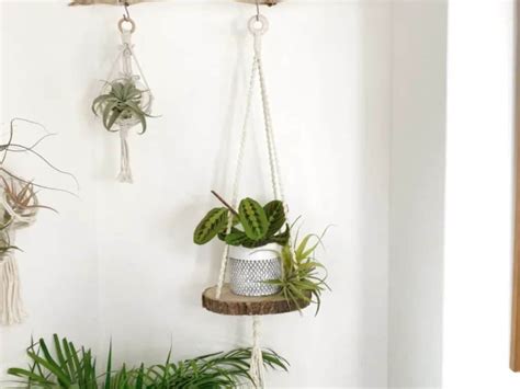 Image result for Macrame Shelves Tutorials