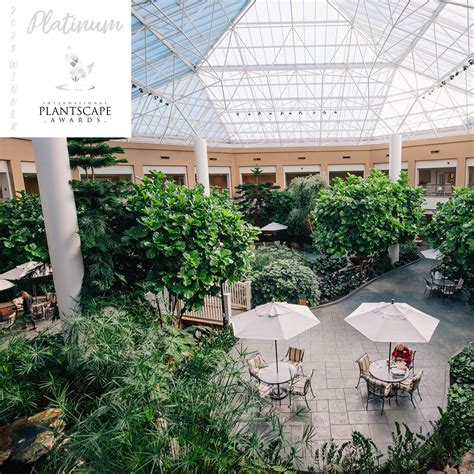 Meadow Ridge’s Stunning Three-Story Atrium and Gardens Receive National ...