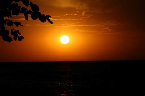 Cease Family Funeral Homes | Bagley MN