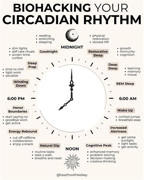 👌🏾 Biohack Your Circadian Rhythm ⌚️ Optimize Your Day with Your Internal Clock | Circadian ...
