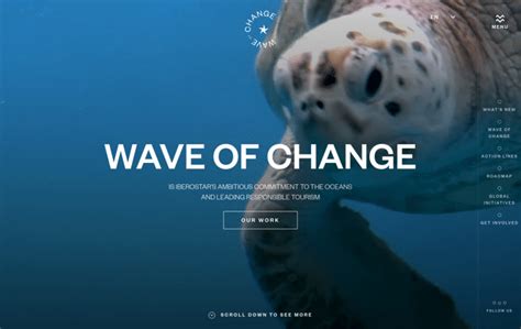 Image result for Video Web Layout Design