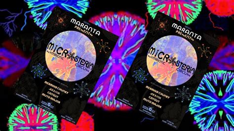 Maranta Presents MICROSTERIA - A Symbiotic Circus , Summerhall ...