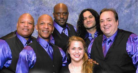 Image result for Flashback Band