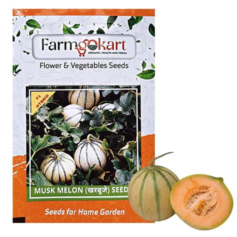 Farmgokart |MUSK MELON INDIAN (MITHAS) SEEDS (Appx 100 Seeds Per Packet ...