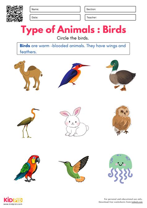 Mammals Amphibians Reptiles Birds Fish Insects Worksheet at Nathan Mcnicholas blog