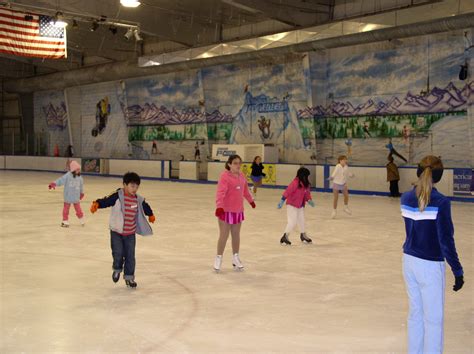 Ice Skating 的图像结果