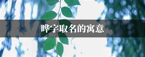 晔字取名的寓意 – 友心理