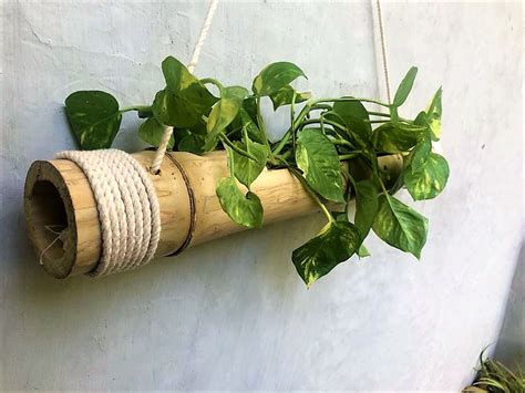 NAOE Wood Hanging Planter, White, Brown, 40 x 5 cm : Amazon.in: Garden ...