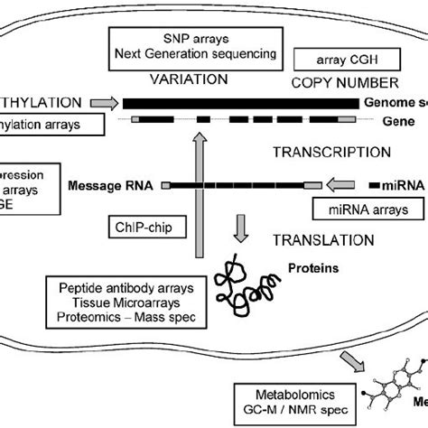 Image result for Microarray Types