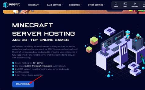 Image result for Bisecthosting Promo Code