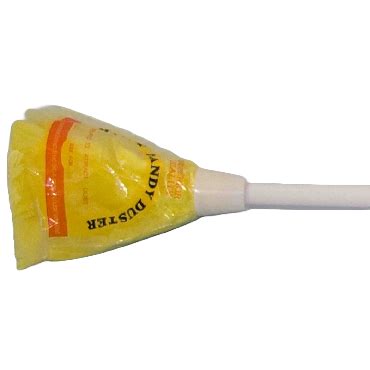 Using Feather Duster 的图像结果