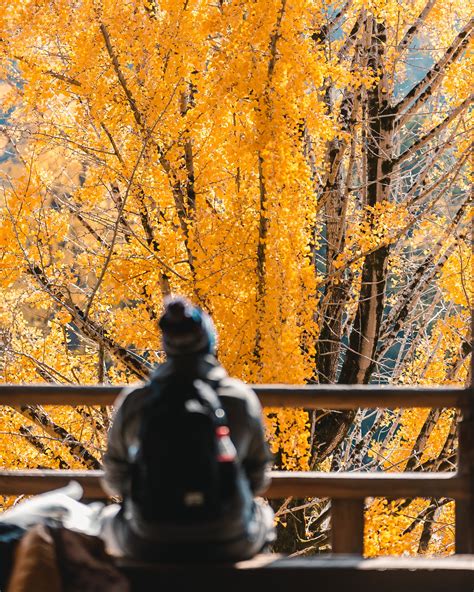 Fun Places in Japan 的图像结果