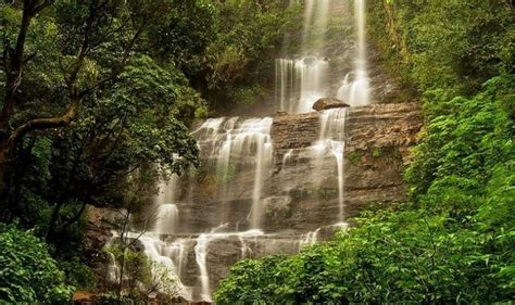 Hebbe Falls, chikkamagaluru, India - Top Attractions, Things to Do ...