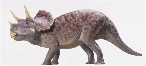 The Top 10 Famous Dinosaurs That Roamed the Earth
