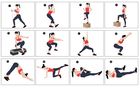 Exercise 动画 的图像结果