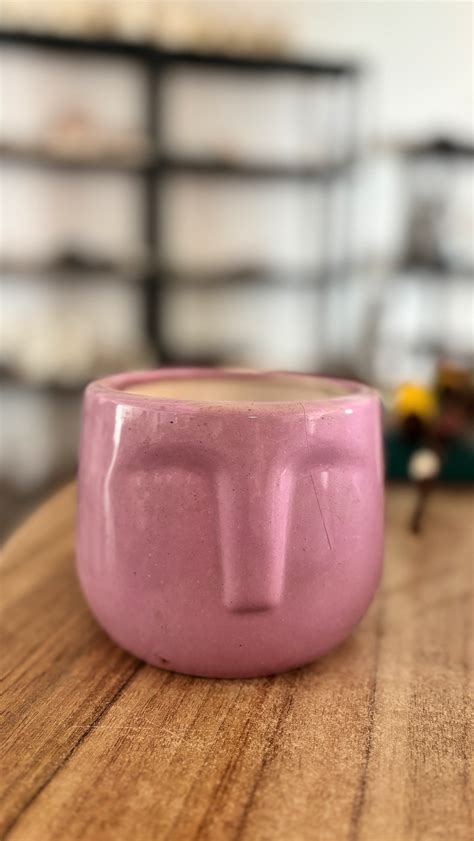 Pink Ceramic Planter With Drainage Hole – Orange Skies