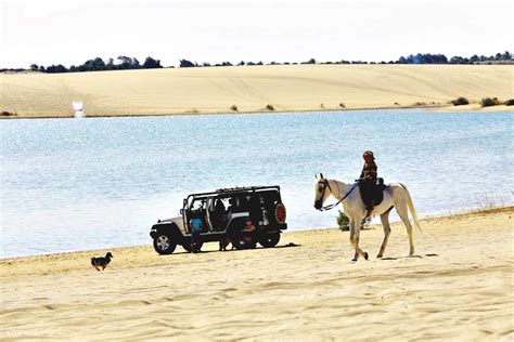 Explore the Beauty of Hurghada: Horse Ride Along the Sea & Desert with ...