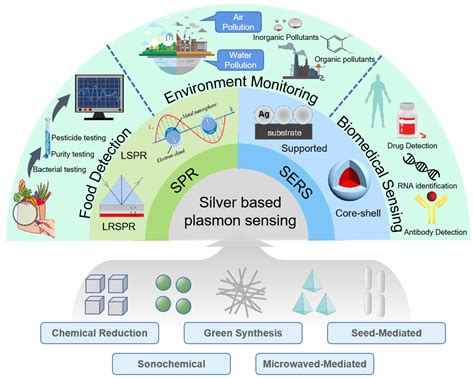 Silver-Based Surface Plasmon Sensors: Fabrication and Applications