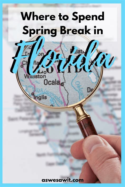 Florida Spring Break Destinations 的图像结果