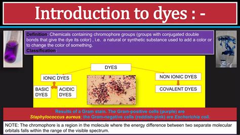 Bacterial Staining, Staining and it's types, Illustratec with detailed ...