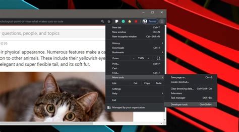 How to Disable JavaScript Chrome 的图像结果