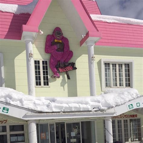 FIRST HUTTE (Niigata Prefecture, Japan - Minamiuonuma) - Ryokan Reviews ...