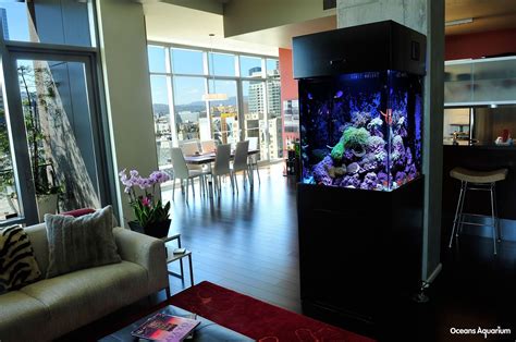 11 Sample Floor Fish Tank With DIY | Wallpaper HD and Aesthetic