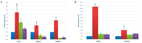 Release of Pro-Inflammatory/Angiogenic Factors by Retinal Microvascular ...