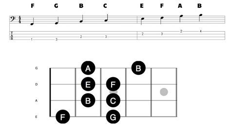 Image result for Note Reading Practice for Bass