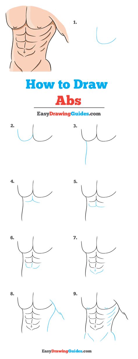 Image result for Draw Abs for Beginners