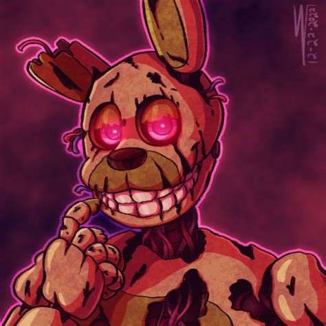 Image result for Springy Support