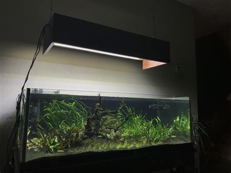 A Simple Guide For Setting Up Of A 37 Gallon Aquarium - Fishxperts