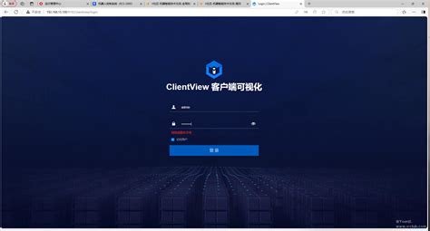 Stackvision Client 的图像结果