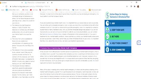 Image result for LibGuide Project