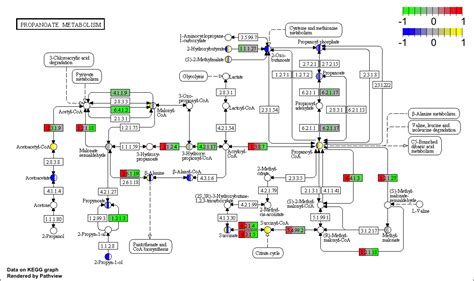 Image result for R Ggplot2 Pathway Plot