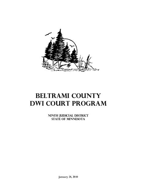 Fillable Online Beltrami County District Court: DWI Court team reports ...