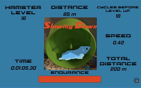 Java Hamster Simulator 的图像结果