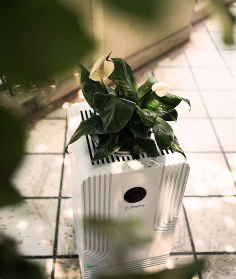 uBreathe Life HEPA Air Purifier | Breathing Roots Technology | uBreathe ...