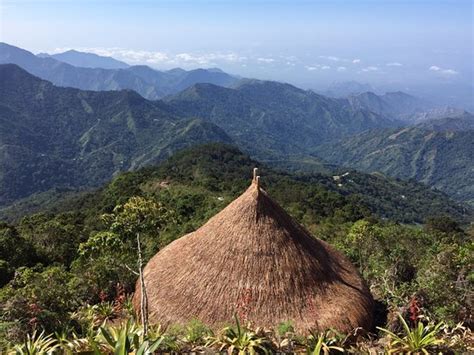 Birders beware - Review of El Dorado Nature Reserve, Minca - Tripadvisor