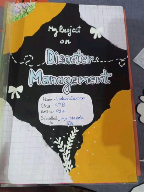 Image result for Disaster Management Project