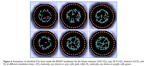 Publications | CNIS LAB