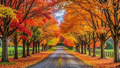 Image result for Autumn Homework EYFS