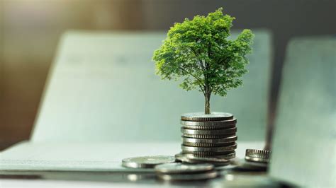 SEE Institute Learning Management System