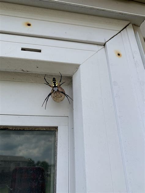 I’m over here watching Netflix and trying to stop myself from having an anxiety attack like a ...