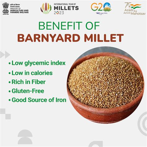 IndiaInErbil on Twitter: "RT @IYM2023: Barnyard Millets have a low ...
