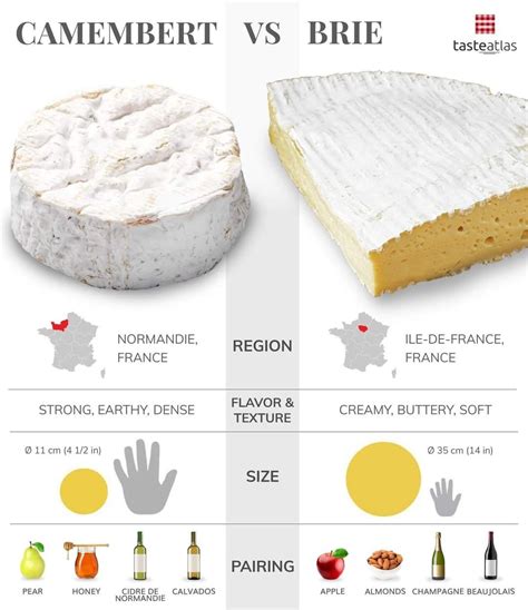 French Cheeses: 274 Cheese Types in France | TasteAtlas | Yummy food, Charcuterie recipes ...