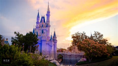 Image result for Disney World Computer System